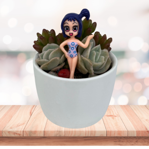 Graptoveria Succulent | Succulent Gift Delivery